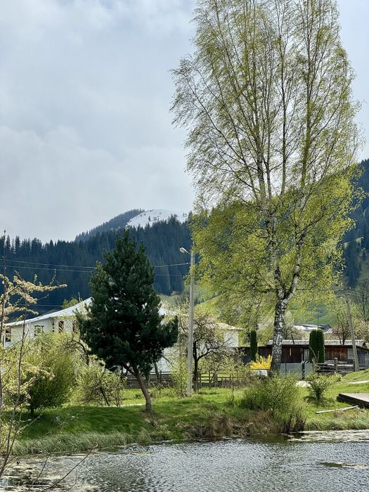 Продам ділянку 19 соток зі ставком і панорамою Карпат