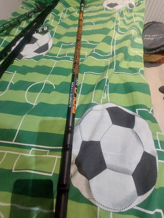 Bolonka Maver 6m