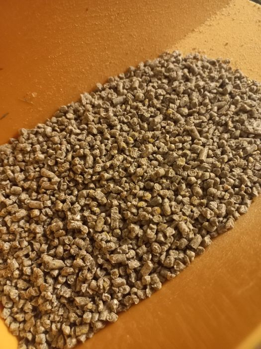 Pasze dla kur niosek z ziołami