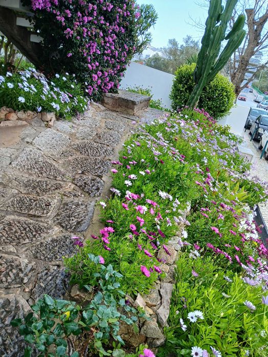 Serviços de jardinagem