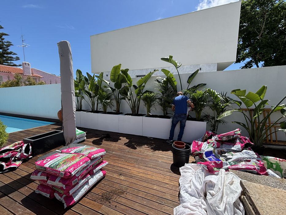 Vaso, floreiras e plantas