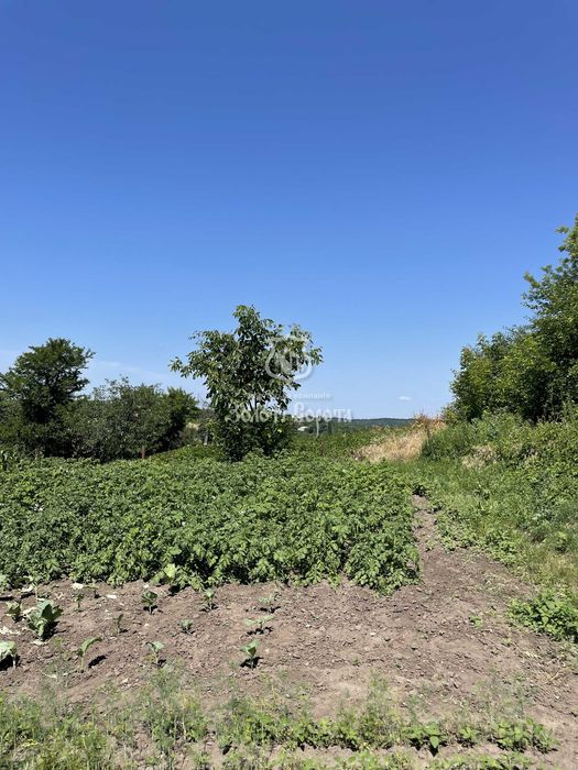 Ділянка, 49 соток. Під забудову. Підгірна, 13, село Барахти, Васильківський район