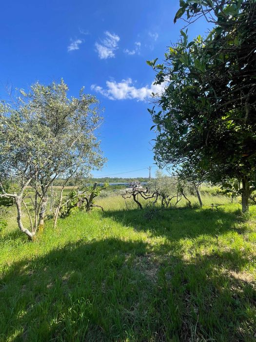 Terreno rústico com anexo