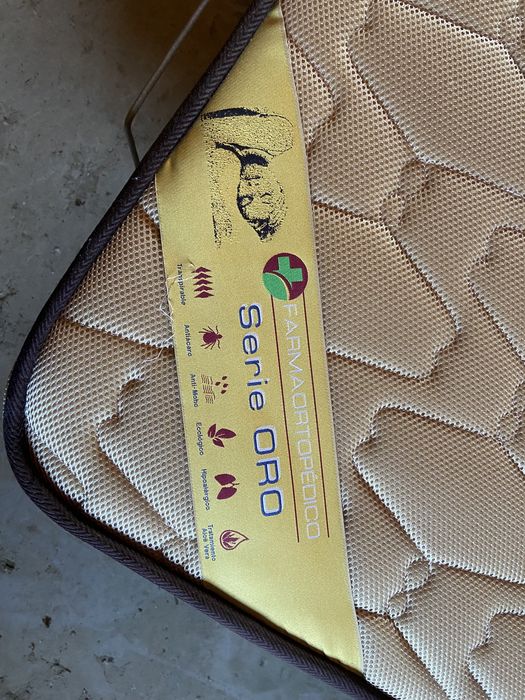 Cama ortopédica/articulada