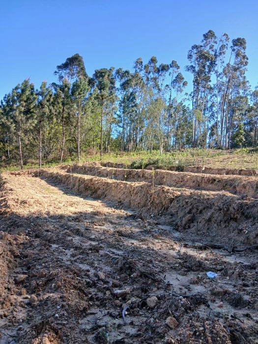 Terreno em tábua