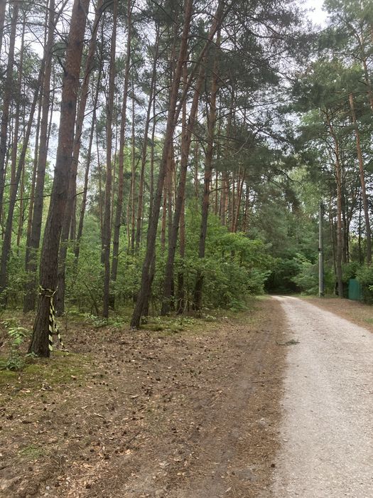 Własny dom w lesie-działka 2500m2  Kolonia Karczmy