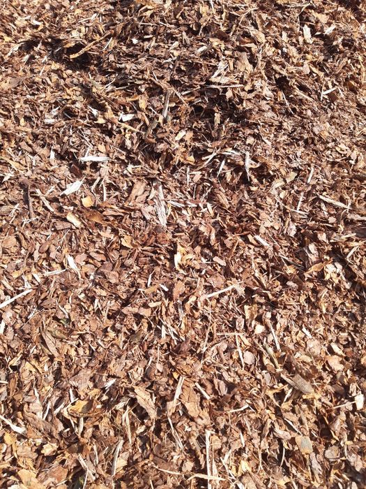 Kora sosnowa świeża gruba worki 80l