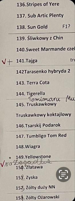 Pomidory nasiona kolekcjonerskich odmian