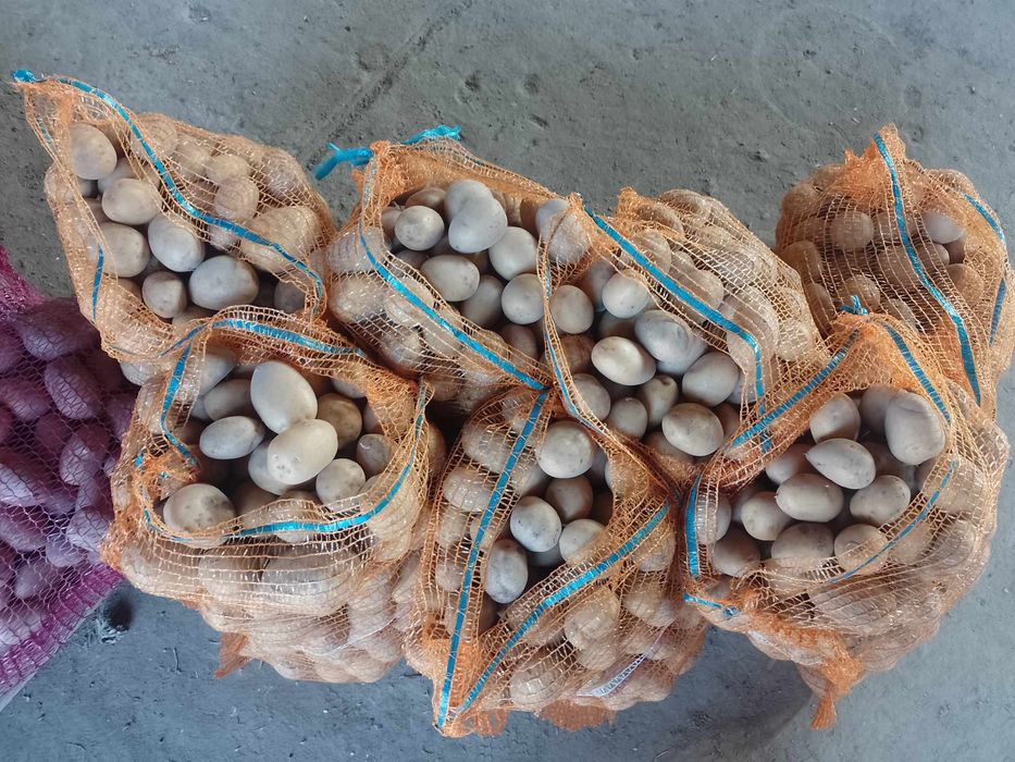 Ziemniaki po staropolsku