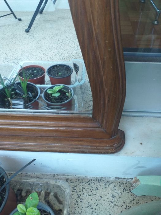 2 espelhos com moldura madeira