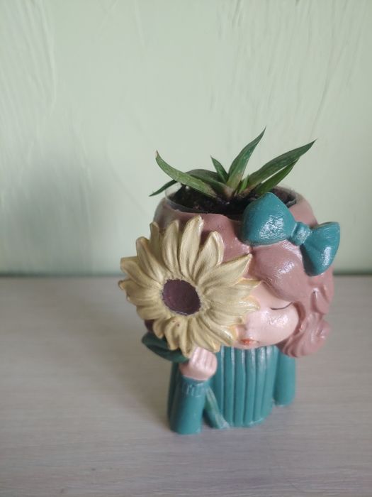 Суккулентное  кашпо гипсовое