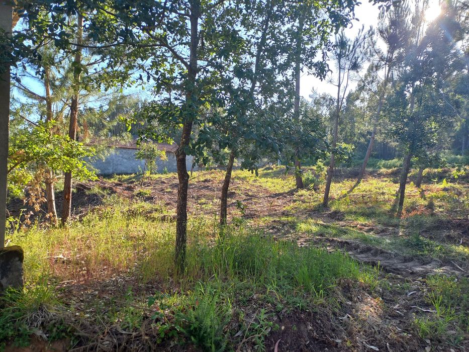 Terreno para construção 1205m2