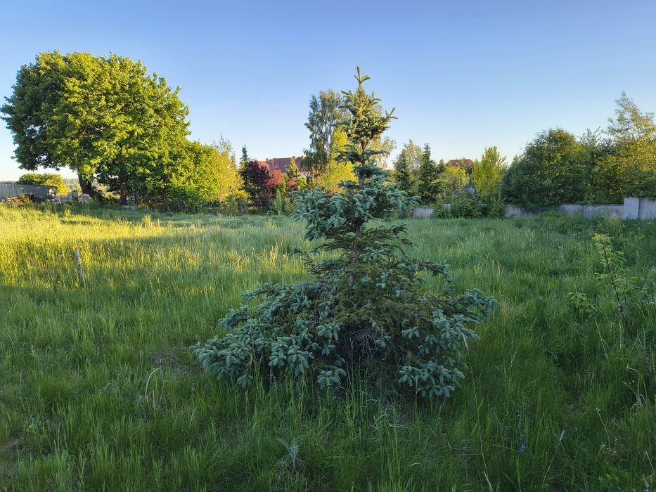 Sprzedam działkę   z pozwoleniem na budowę  w Szabruku - View 2