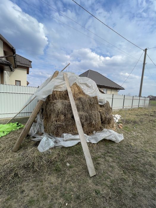 Продам тюки соломи