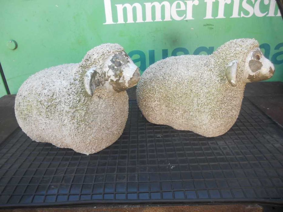 Baran , Barany Dekoracyjne na Taras do Ogrodu