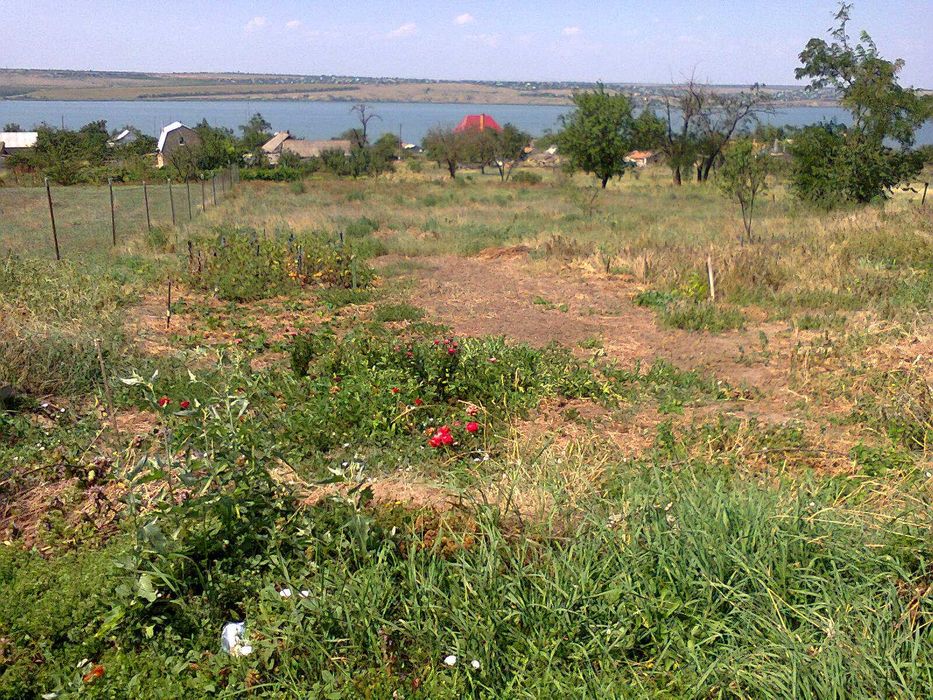 Продам СВОЮ дом-дачу, Новая Эметовка, Беляевский р-н. СЕЛО!  20 соток.