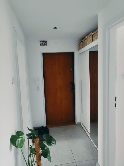Mieszkanie na wynajem Szczecinek 2 pokoje po remoncie, kuchnia osobno, balkon