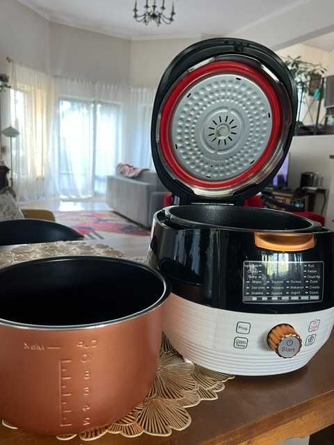 Multi-cooker model de-21 Frederick Excellence