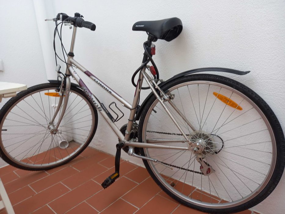[URGENTE] Bicicleta com acessórios
