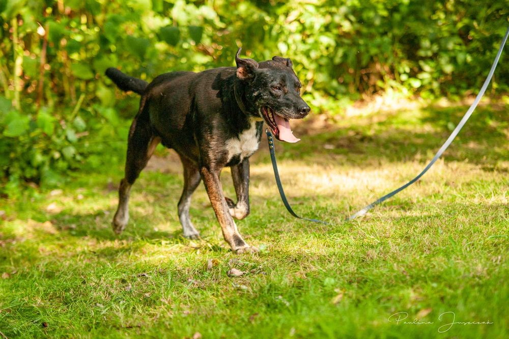 Biedny Lagos już dwa lata czeka na Ciebie, odezwij się!