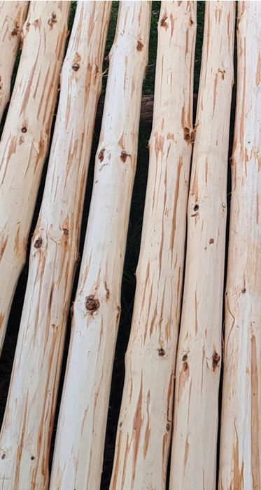 Stemple Słupki  Kołki okorowane