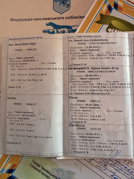 Цуценята Ягдтерєра!