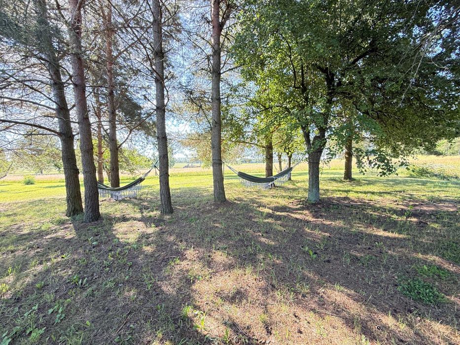 Agroturystyka Przystań w Sadzie