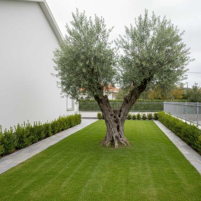 Serviço de Jardins – Corte de Relva, Sebes e Limpeza | Leiria