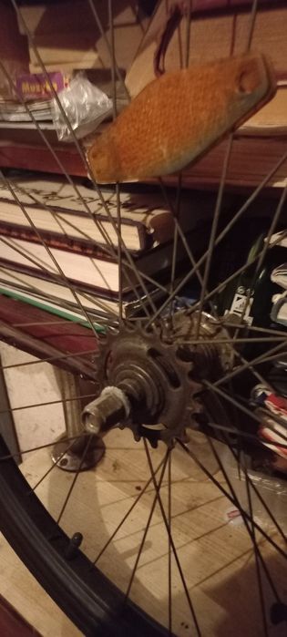 Kołodo górala,,ostre,,koło