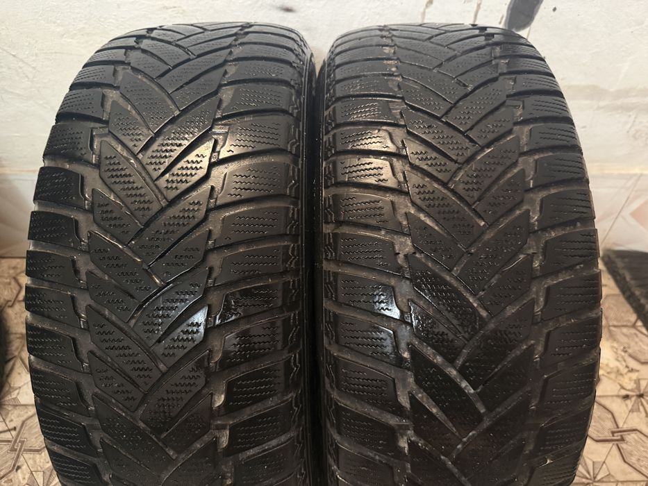 Шини Dunlop 225/55 R16 2 шт.