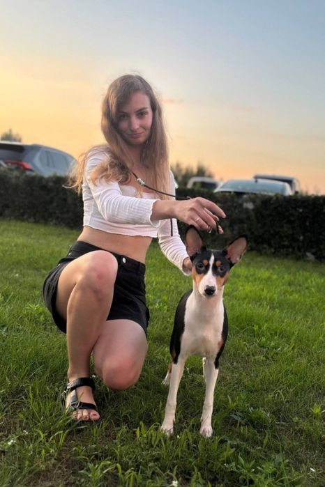 Щенок басенджи мальчик триколор