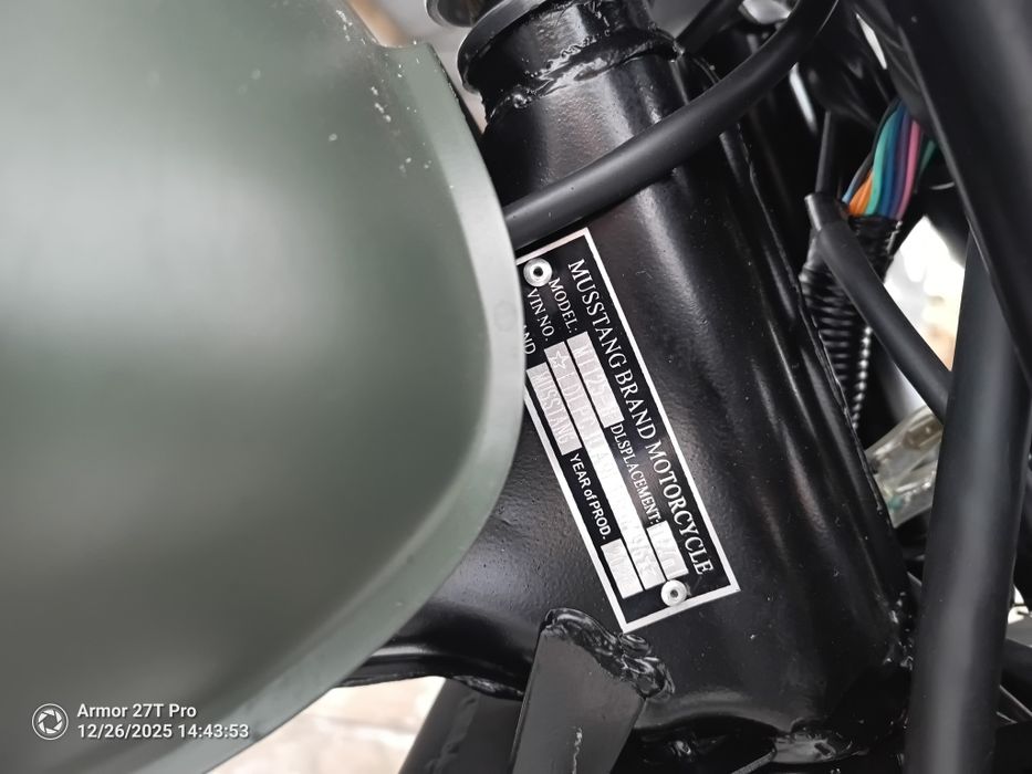 Mustang.MT-125. DINGO.