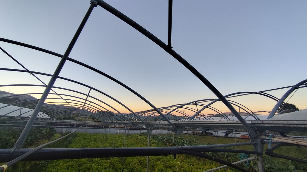 Estufas Estrutura metalica