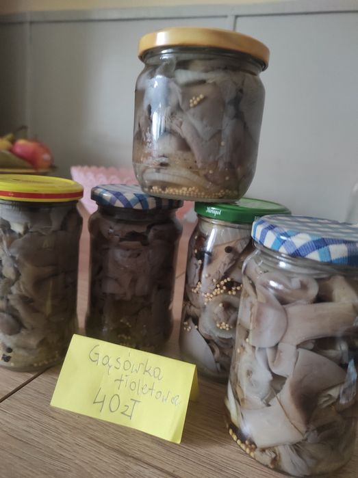 Grzyby w zalewie octowej duży wybór