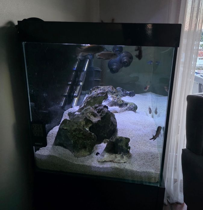 Aquário completo