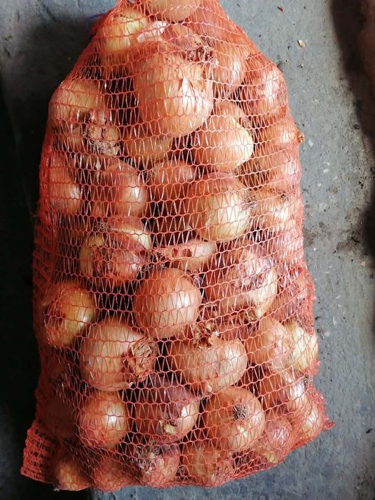 20 ziemniaków 4 kilo cebuli 4 główki czosnku prosto od rolnika wysyłka