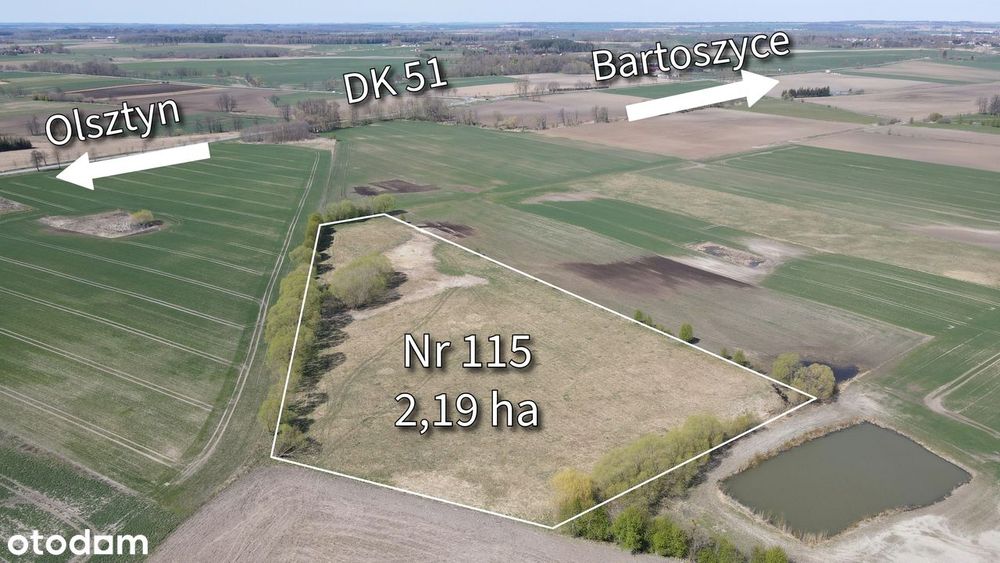 Działka rolna 2,19 ha pod Bartoszycami - Plęsy