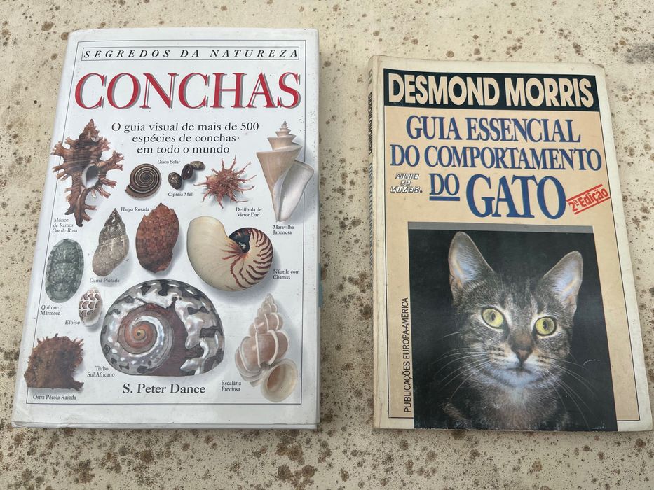 A Vela, os Minerais, as Conchas, o Gato