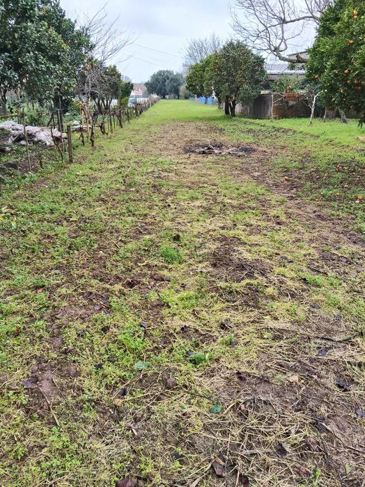 Moradia da reconstrução em Óis da Ribeira