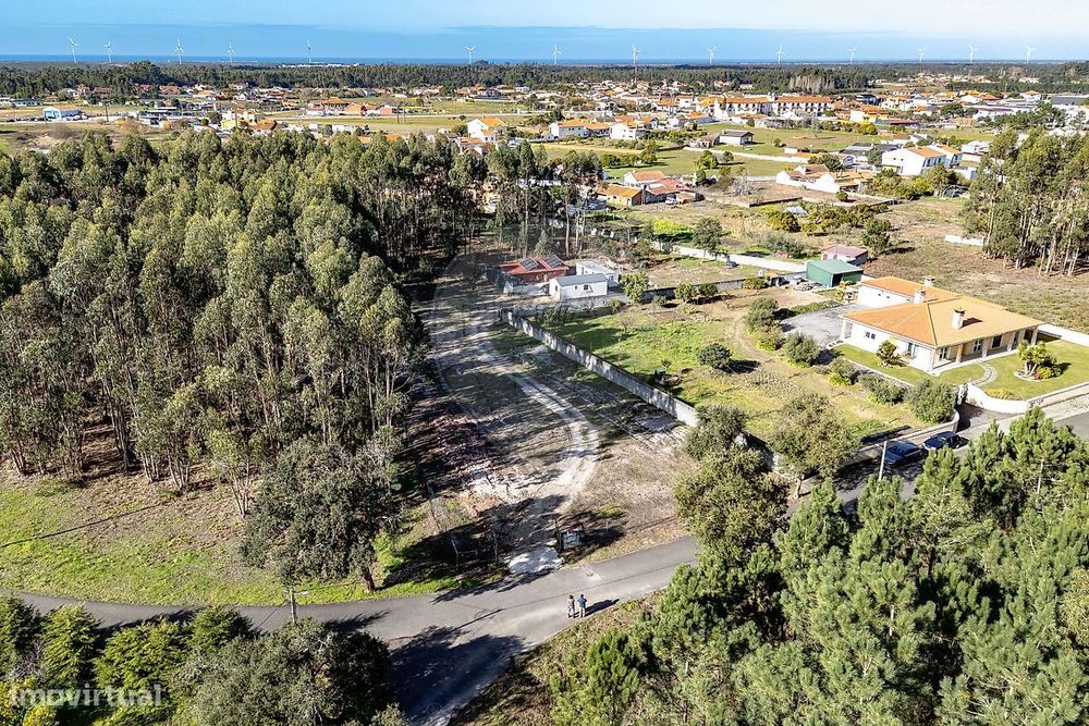Terreno  para venda — Tocha, Coimbra