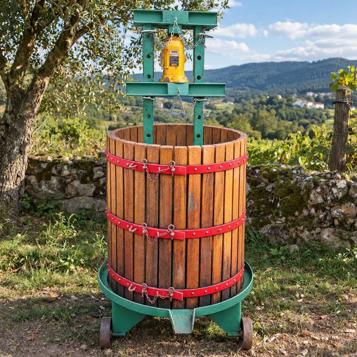 Prensa de uvas/vinho em madeira e ferro – hidráulica 16T