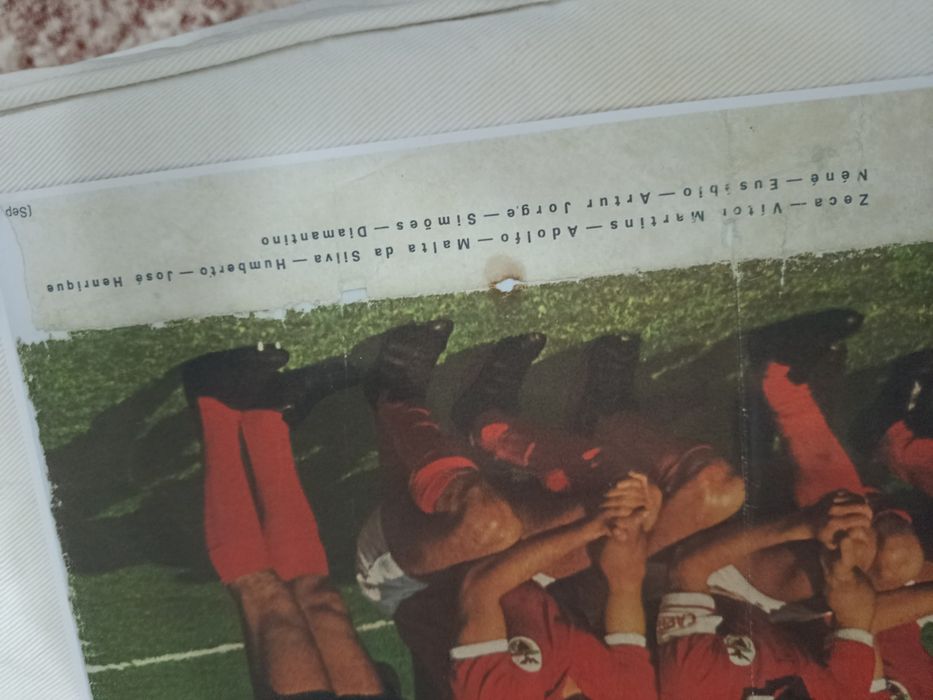 Poster BENFICA 1970-71 (reprodução perfeita)