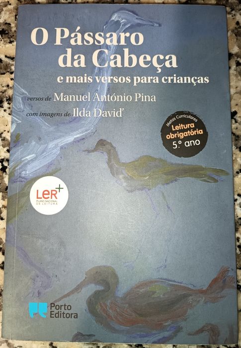 Livro O Pássaro da Cabeça