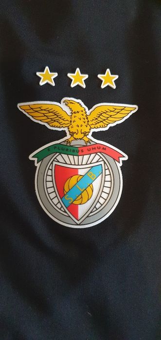 Casaco treino Benfica da Adidas