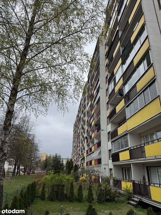***Trzypokojowe***Centrum***Bezpośrednio***Duży balkon**Okazyjna cena*