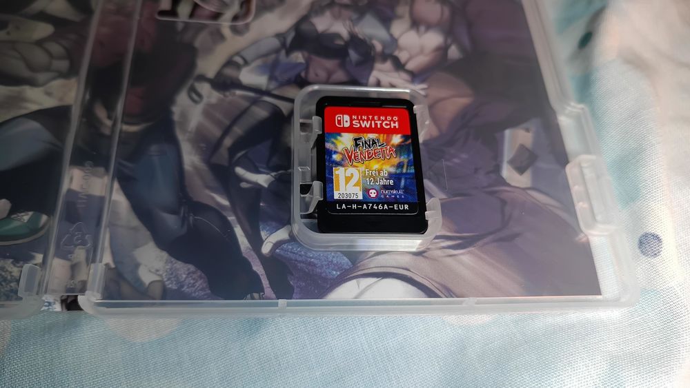 Final Vendetta_Switch