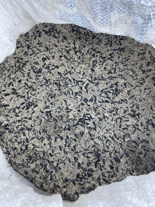 Макуха соняшникова