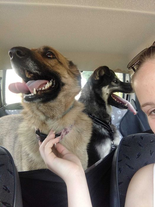 F-I-L-I   - lubi KOTY,  6-letni, łagodny, miły. [FILMIKI}