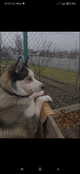 Мальчик ищет девочку