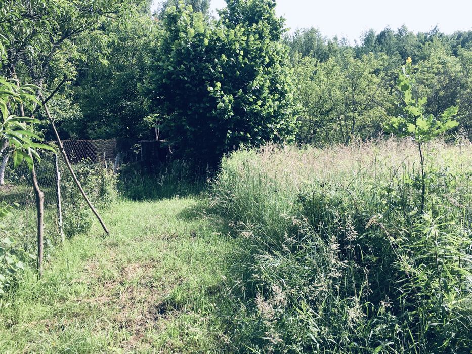 Земельна ділянка в Лісі 18сот. с.Вишнів, 10км.- Луцьк